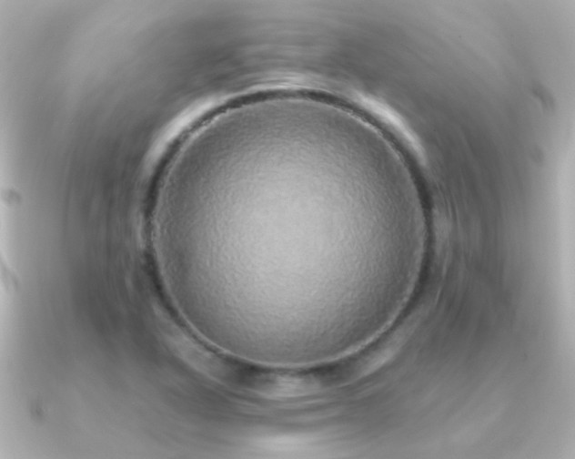 X0000091201318200708091300