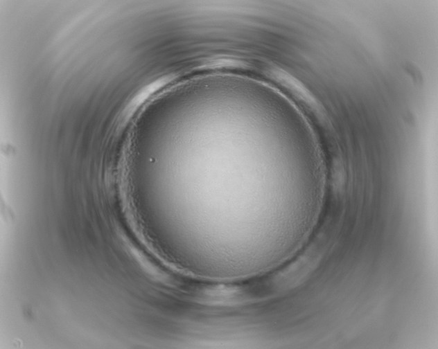 X0000091201321200708091300