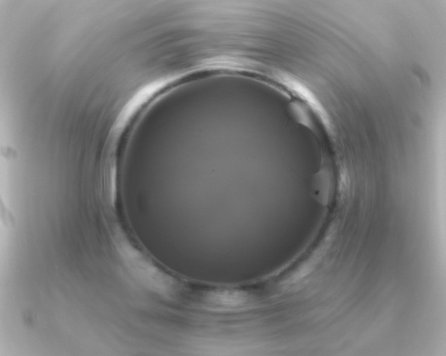X0000091201323200708091300