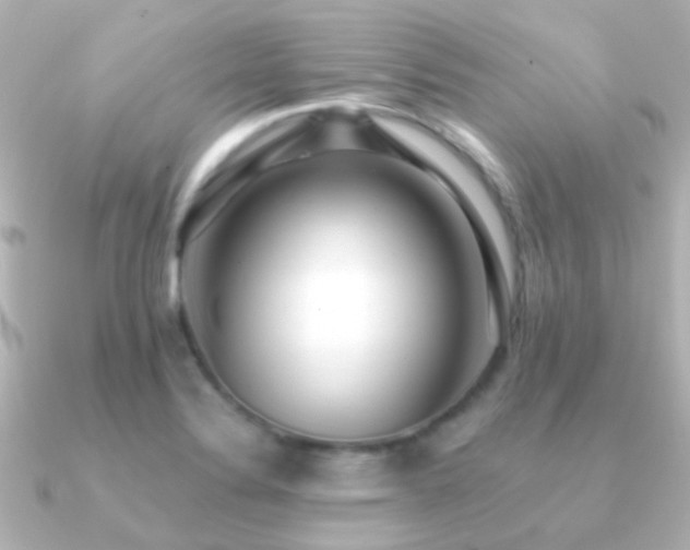 X0000091201324200708091300