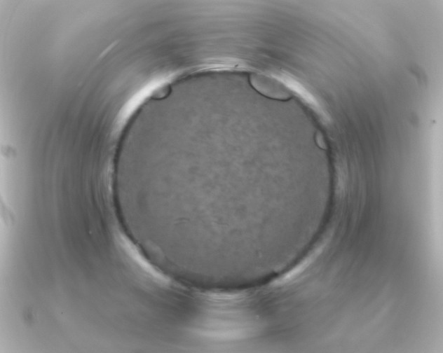X0000091201325200708091300