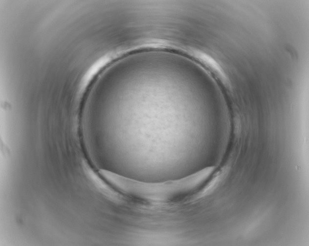 X0000091201326200708091300