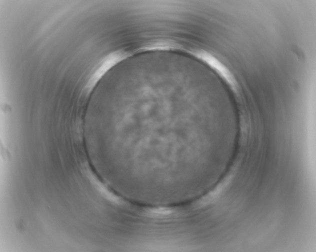 X0000091201329200708091300