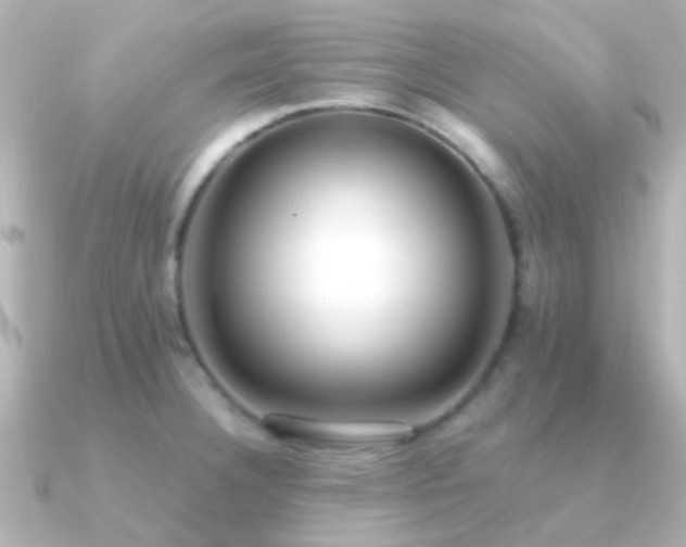 X0000091201332200708091300