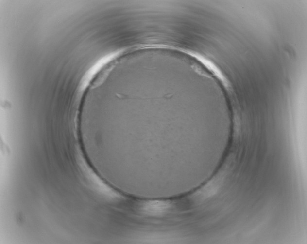 X0000091201333200708091300
