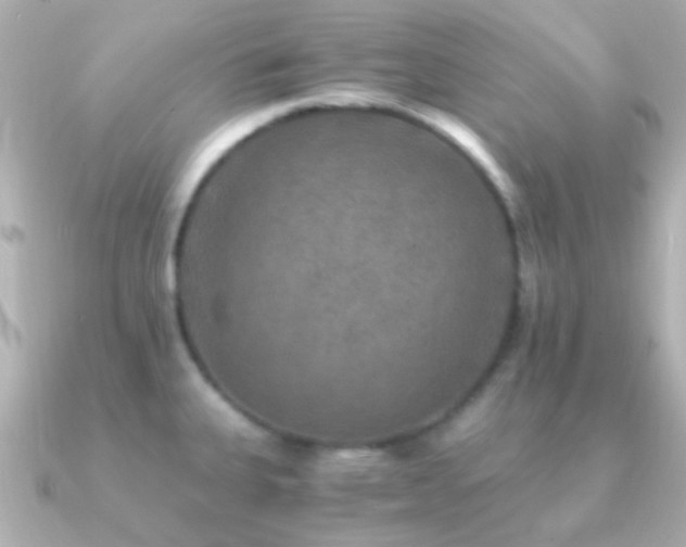 X0000091201335200708091300