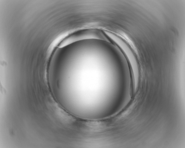 X0000091201336200708091300