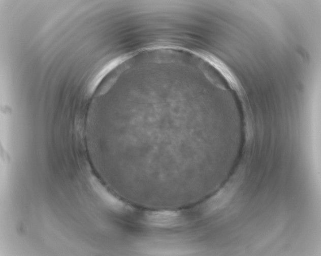 X0000091201337200708091300