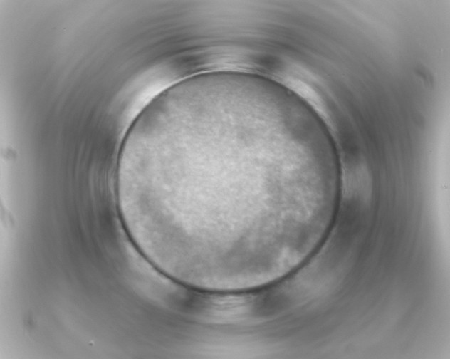 X0000091201338200708091300