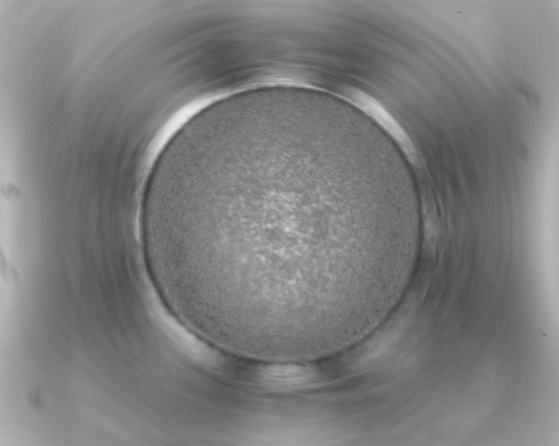 X0000091201339200708091300