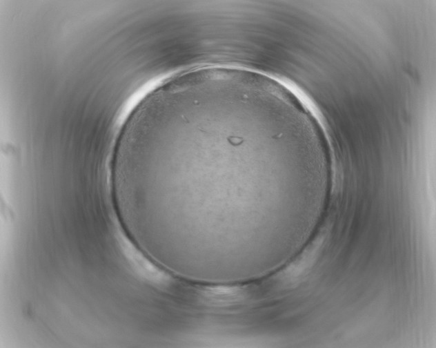 X0000091201341200708091300