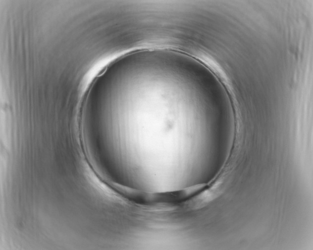 X0000091201344200708091300
