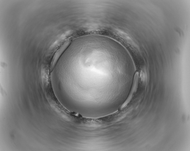 X0000091201348200708091300