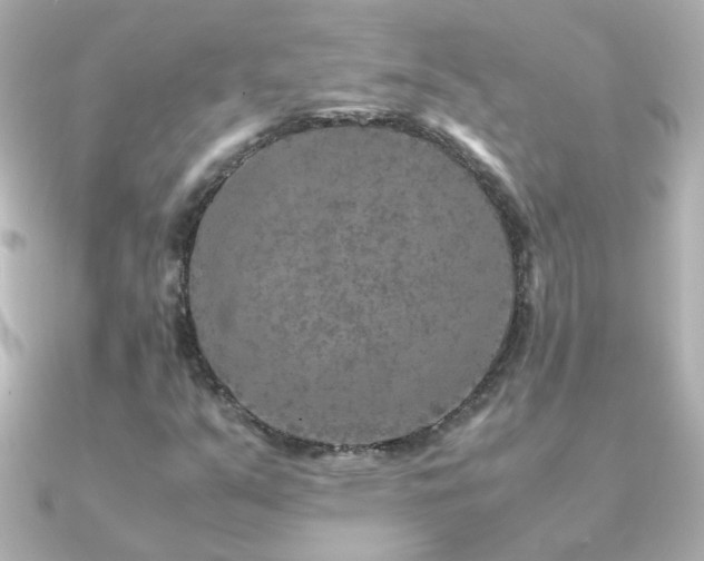 X0000091201351200708091300