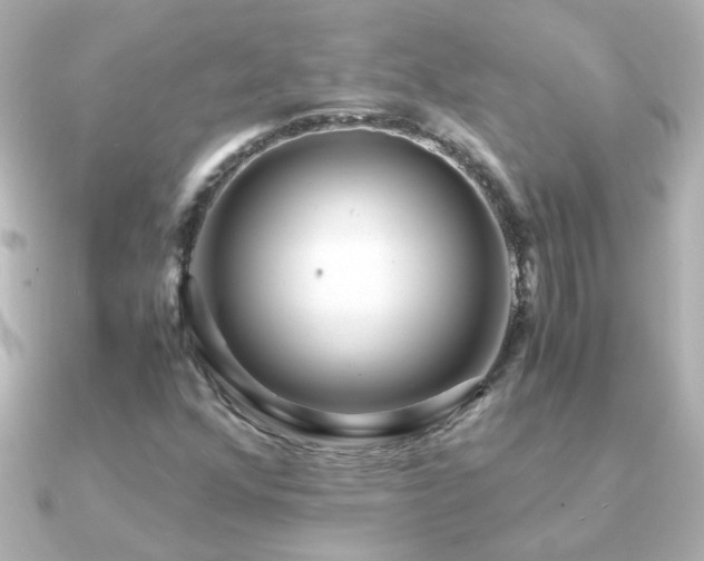 X0000091201352200708091300