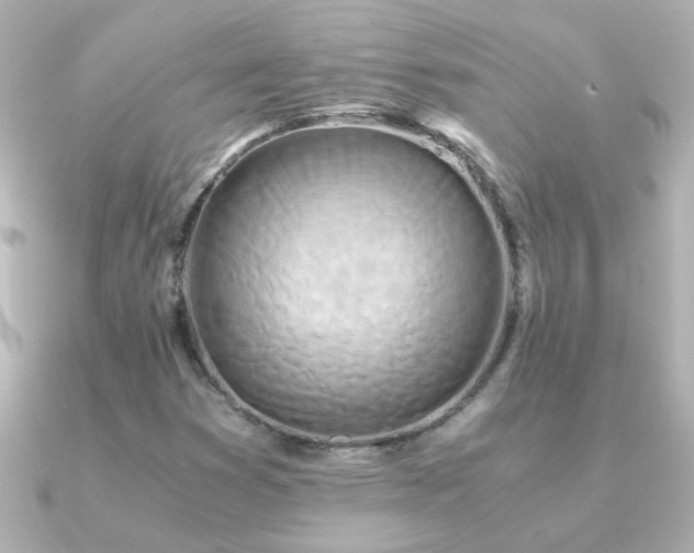 X0000091201353200708091300