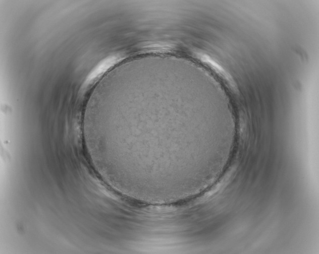 X0000091201354200708091300