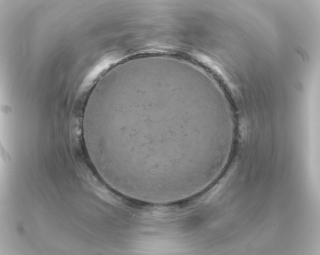 X0000091201355200708091300