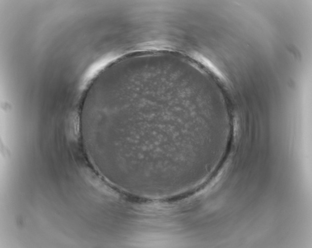 X0000091201358200708091259