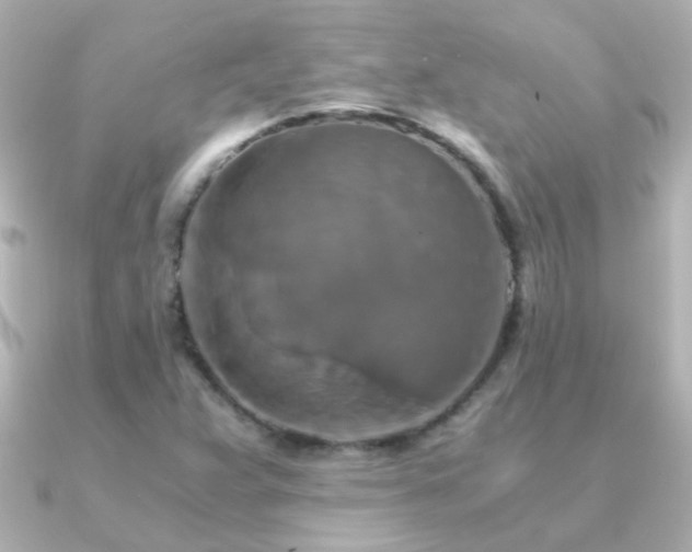X0000091201359200708091259