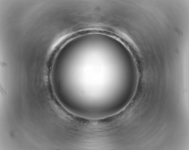X0000091201360200708091259