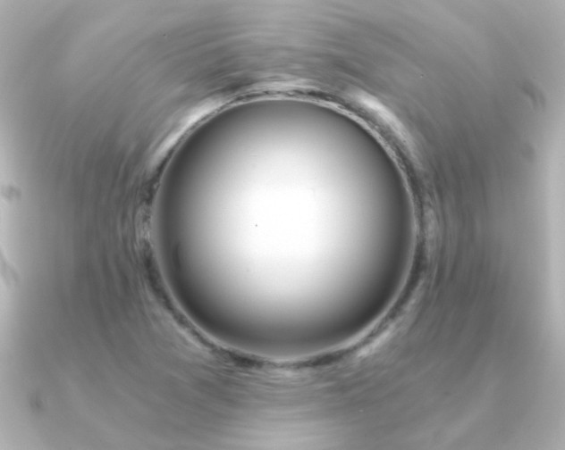 X0000091201361200708091259