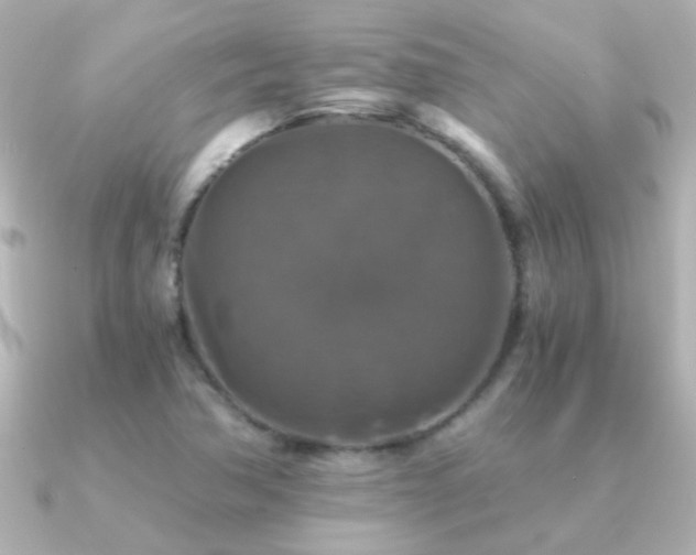 X0000091201362200708091259