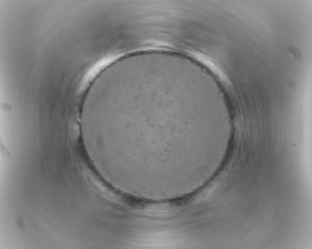 X0000091201363200708091259
