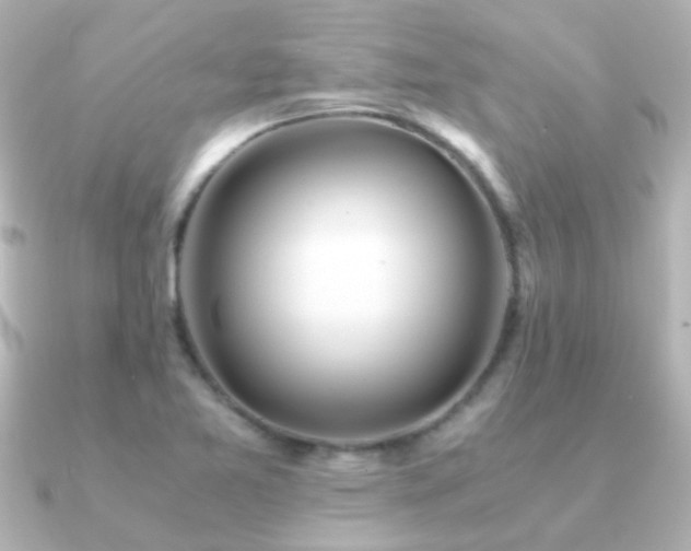 X0000091201365200708091259