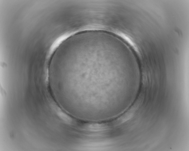 X0000091201366200708091259