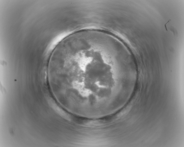 X0000091201367200708091259