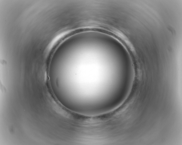 X0000091201368200708091259