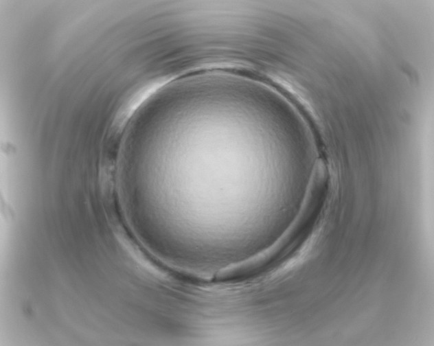 X0000091201369200708091259