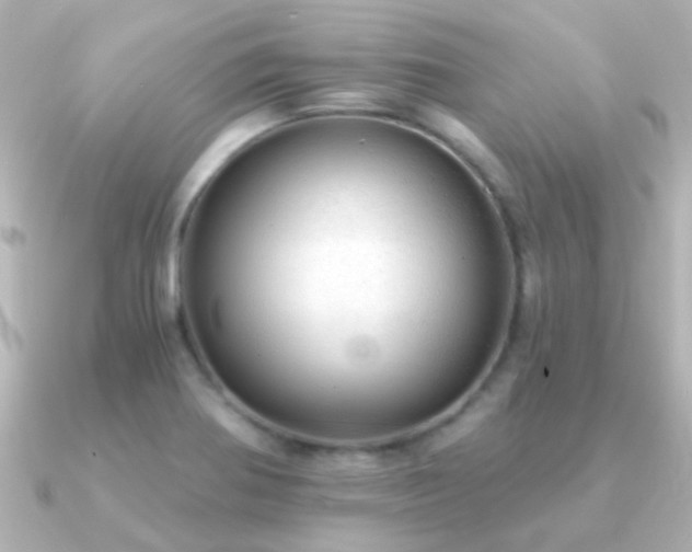 X0000091201370200708091259