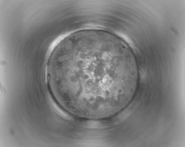 X0000091201371200708091259