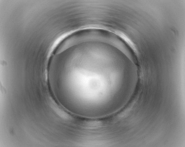 X0000091201372200708091259