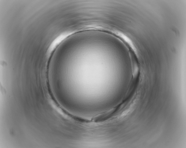 X0000091201373200708091259