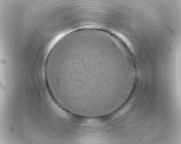 X0000091201375200708091259