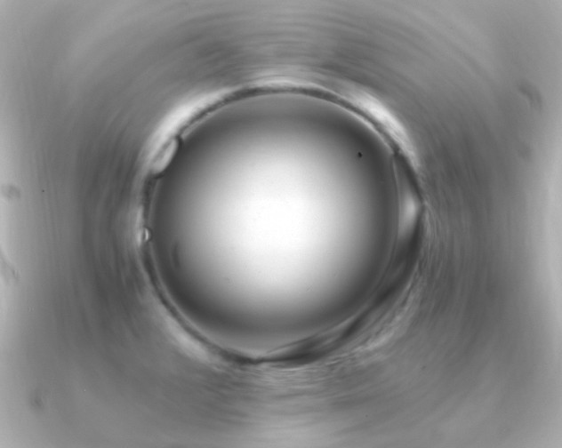 X0000091201376200708091259