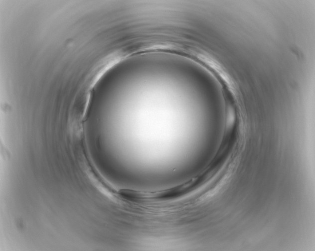 X0000091201377200708091259