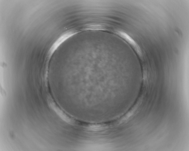 X0000091201378200708091259