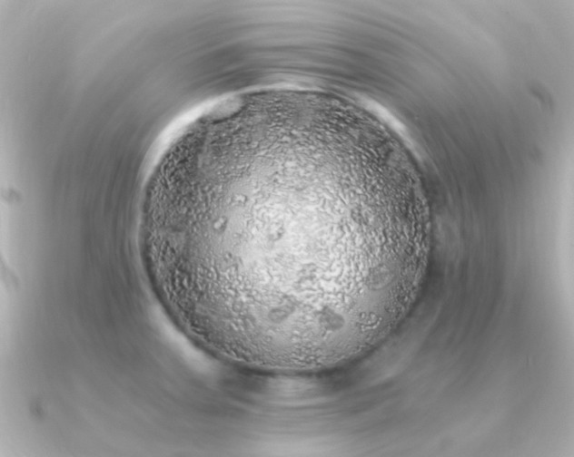 X0000091201379200708091259