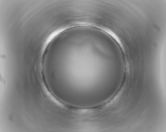 X0000091201381200708091259