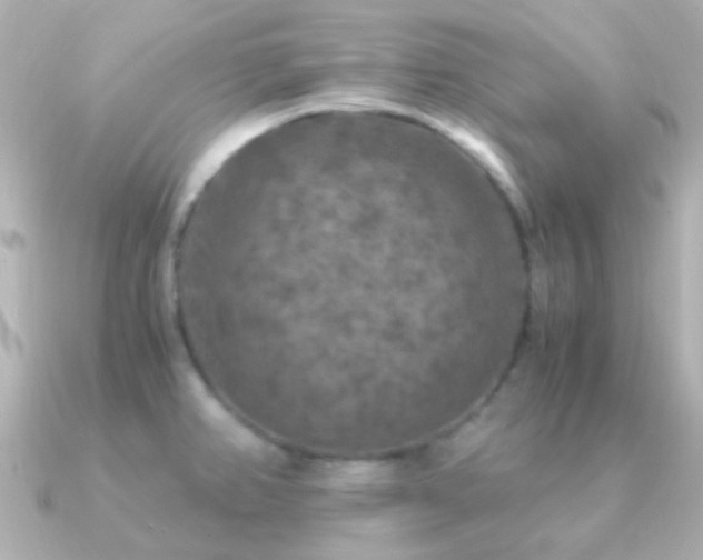 X0000091201382200708091259