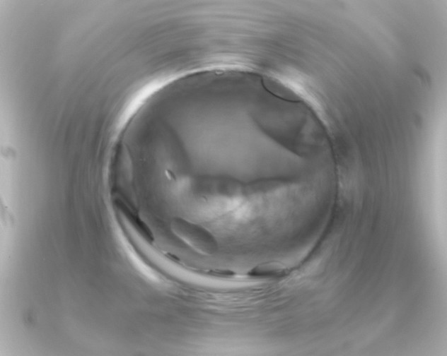 X0000091201383200708091259