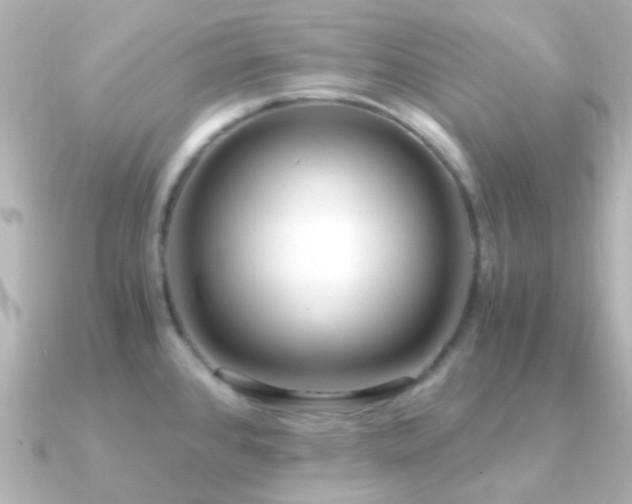 X0000091201384200708091259