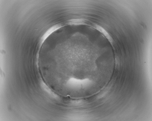 X0000091201386200708091259