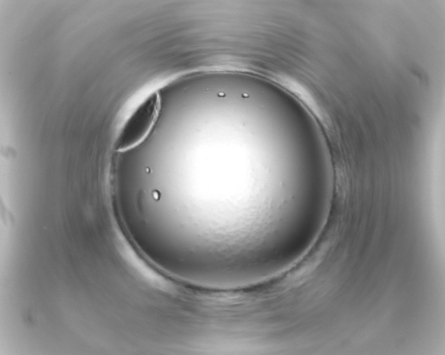 X0000091201387200708091259