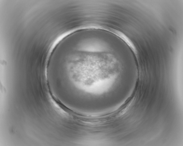 X0000091201388200708091259
