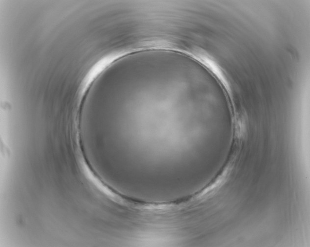 X0000091201389200708091259